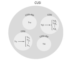 Relación de los índices RSI COSI y CUSI a nivel de tarea y a nivel de jornada laboral