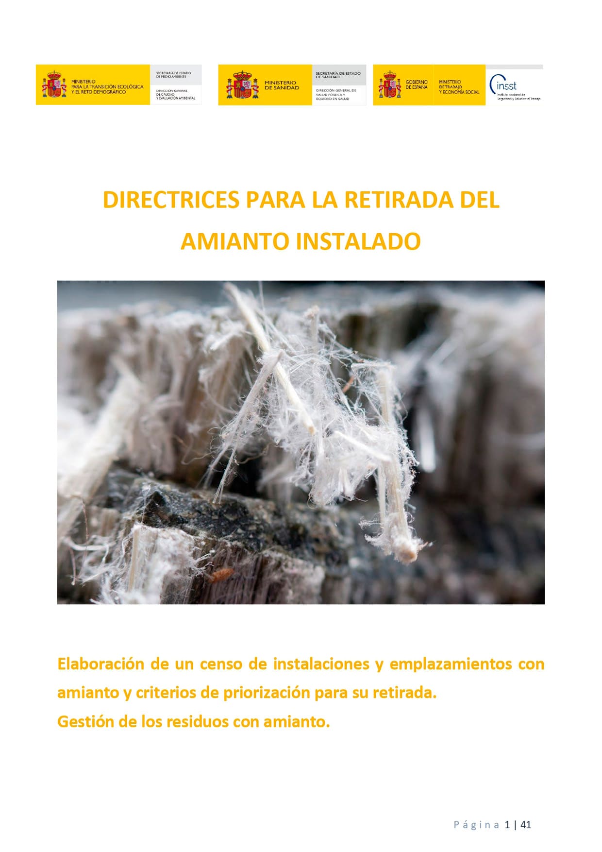 Directrices Para La Retirada Del Amianto Instalado | INSST