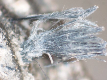 Imagen. Fibras de crocidolita (llamado también amianto azul)