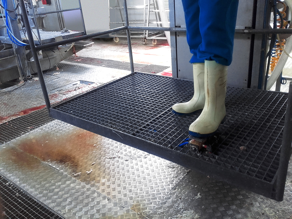 Figura 3. Detalle de la plataforma